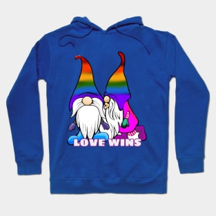 PRIDE GNOMES LOVE WINS Hoodie